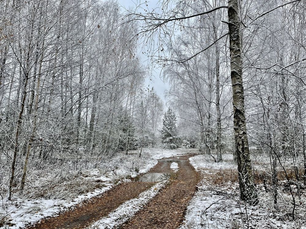 Photograph by Екатерина Шилкина