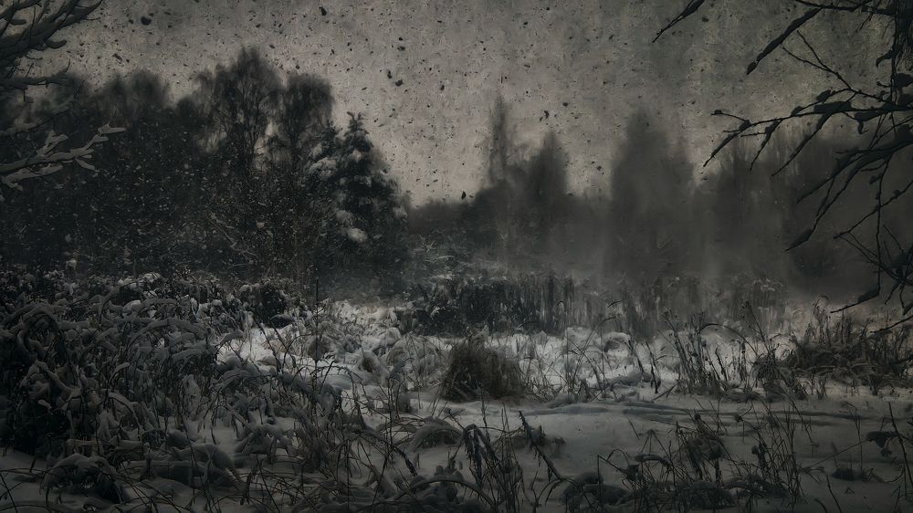 Photograph by Oleg  Prosto