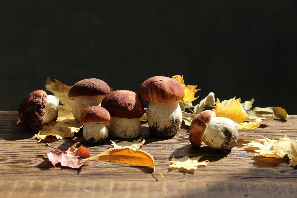 Photograph by Сироткина Нина