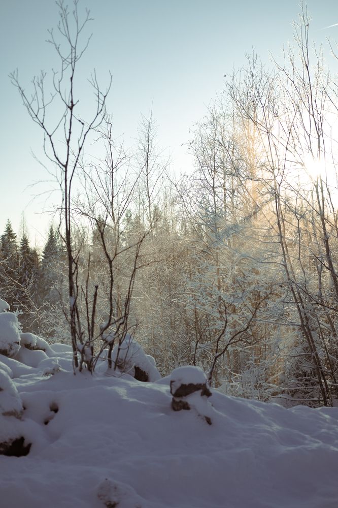 Photograph by Нуриев Максим