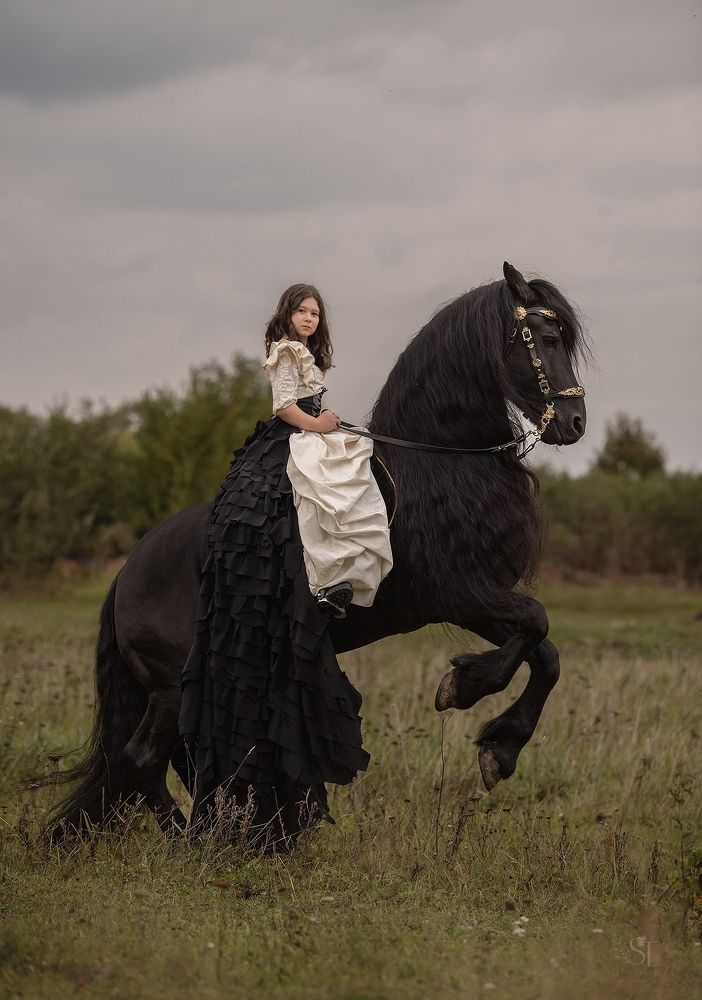 Photograph by Светлана