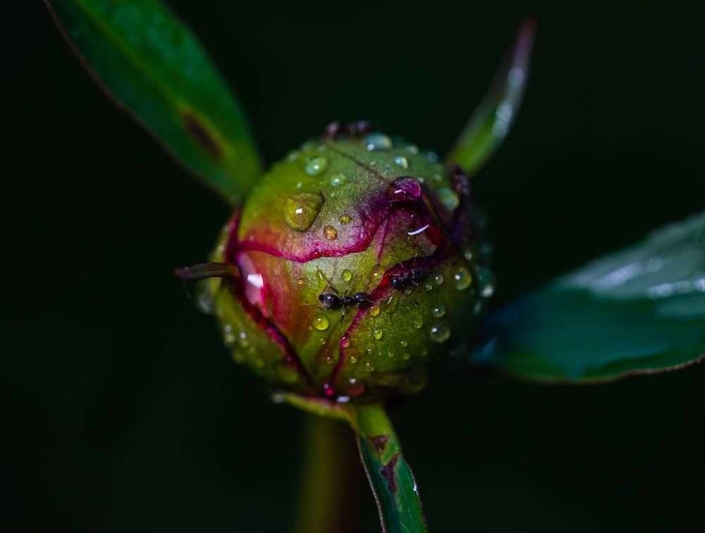 Photograph by 