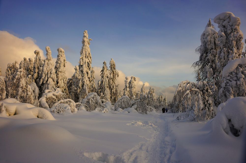 Фотография автора Светлана Зимина