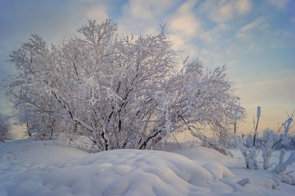 Фотография автора Степан Давыдов
