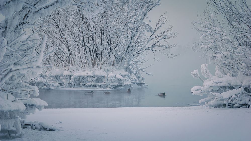 Фотография автора Степан Давыдов
