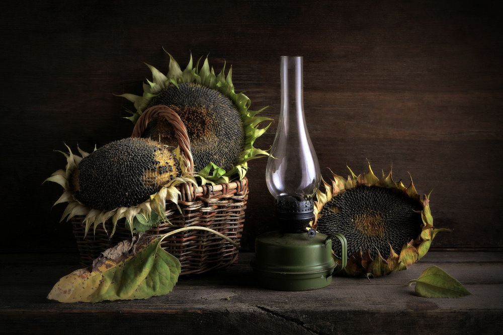 Photograph by Алексеев Сергей