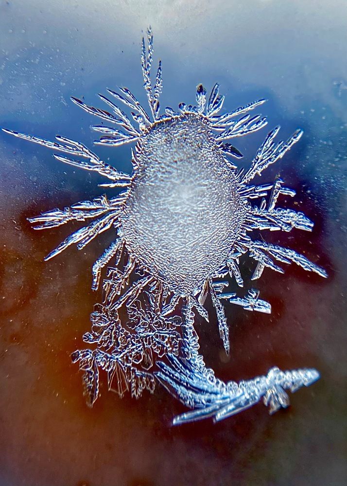 Фотография автора ГУЗАЛИЯ ГАНИЕВА