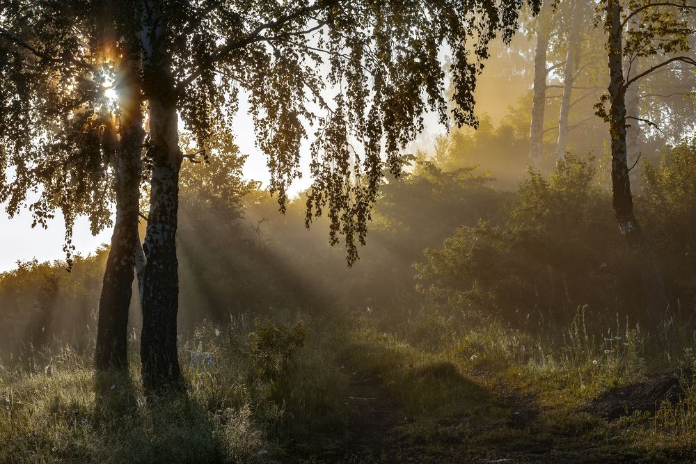 Да будет новый день