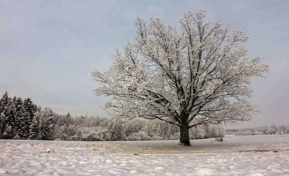 Фотография автора Борис Журавлёв