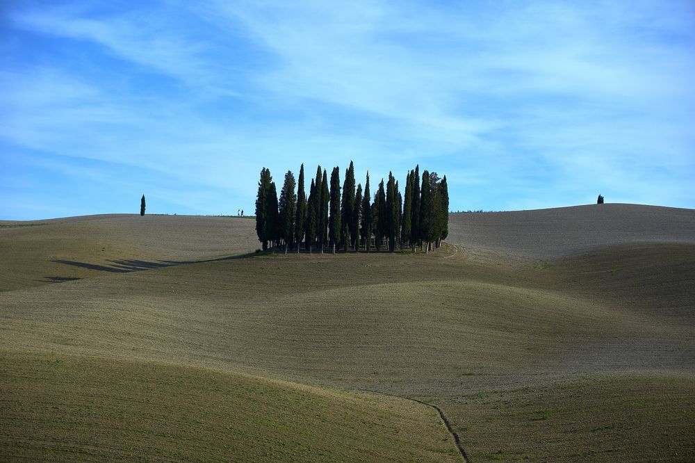 Photograph by Natalie Liedtke