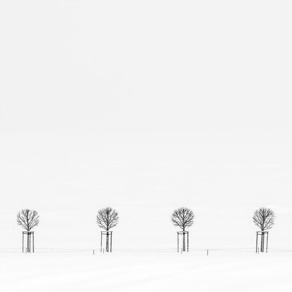 Photograph by Анжелика Титова