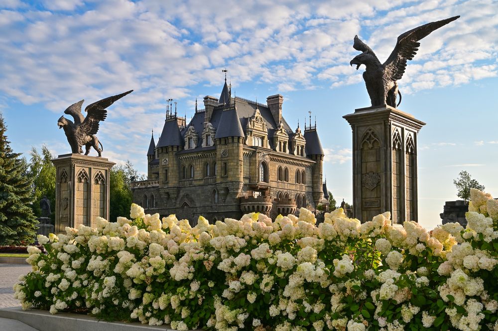 Замок, цветы и грифоны
