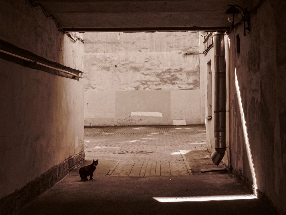 Photograph by Яна Морозова