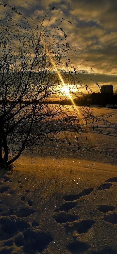 Photograph by Евгения Столярова