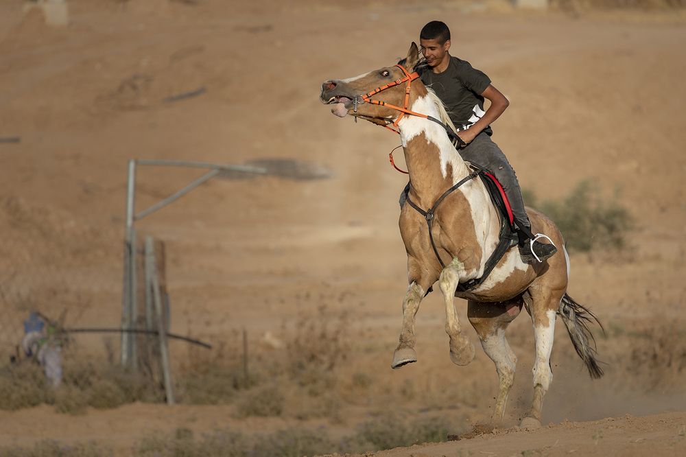 Фотография автора Nikolay Tatarchuk