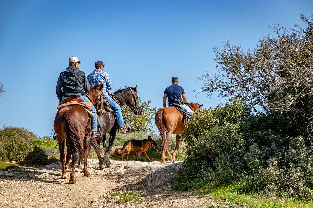 Фотография автора Nikolay Tatarchuk