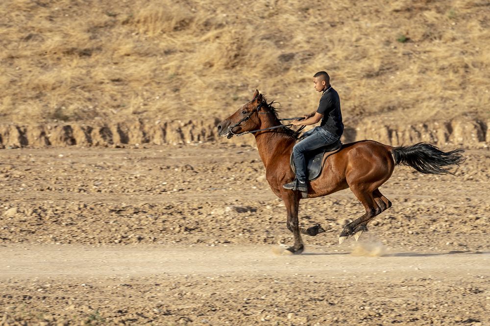 Фотография автора Nikolay Tatarchuk