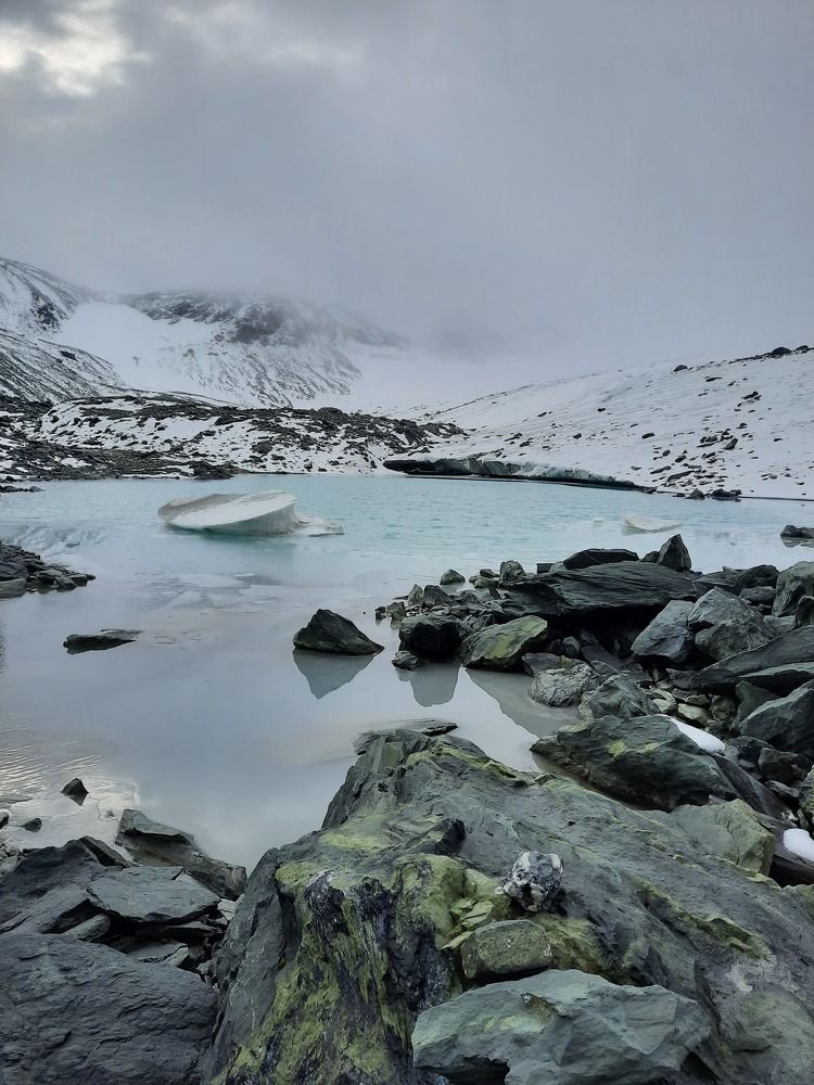 Photograph by Светлана Андреева