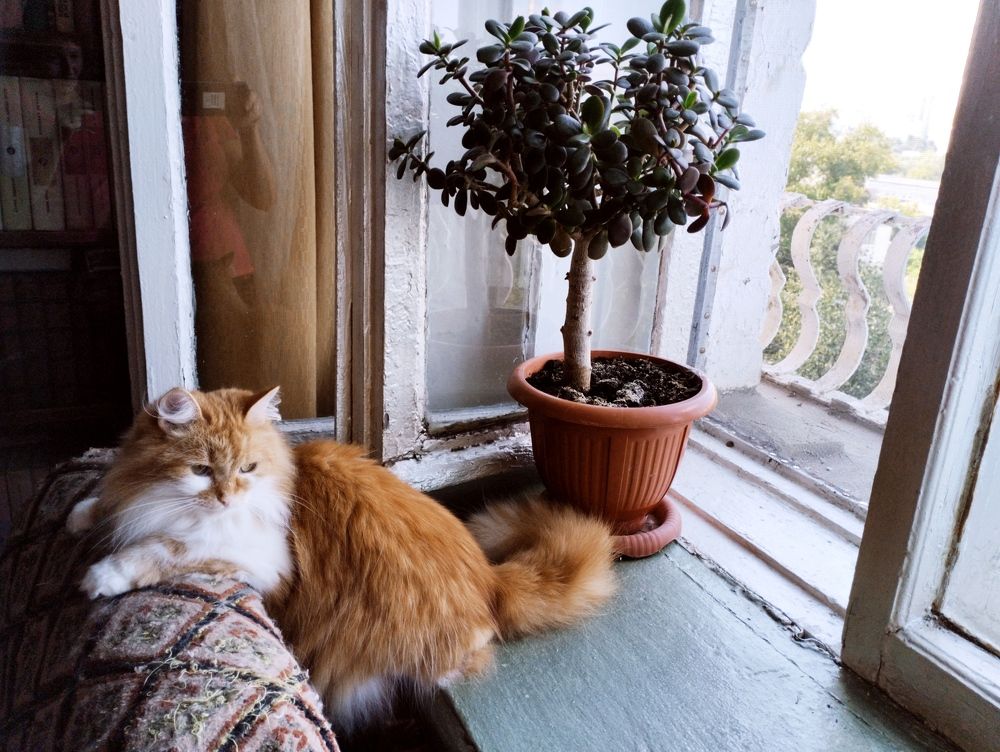 Photograph by Надежда Болтунова