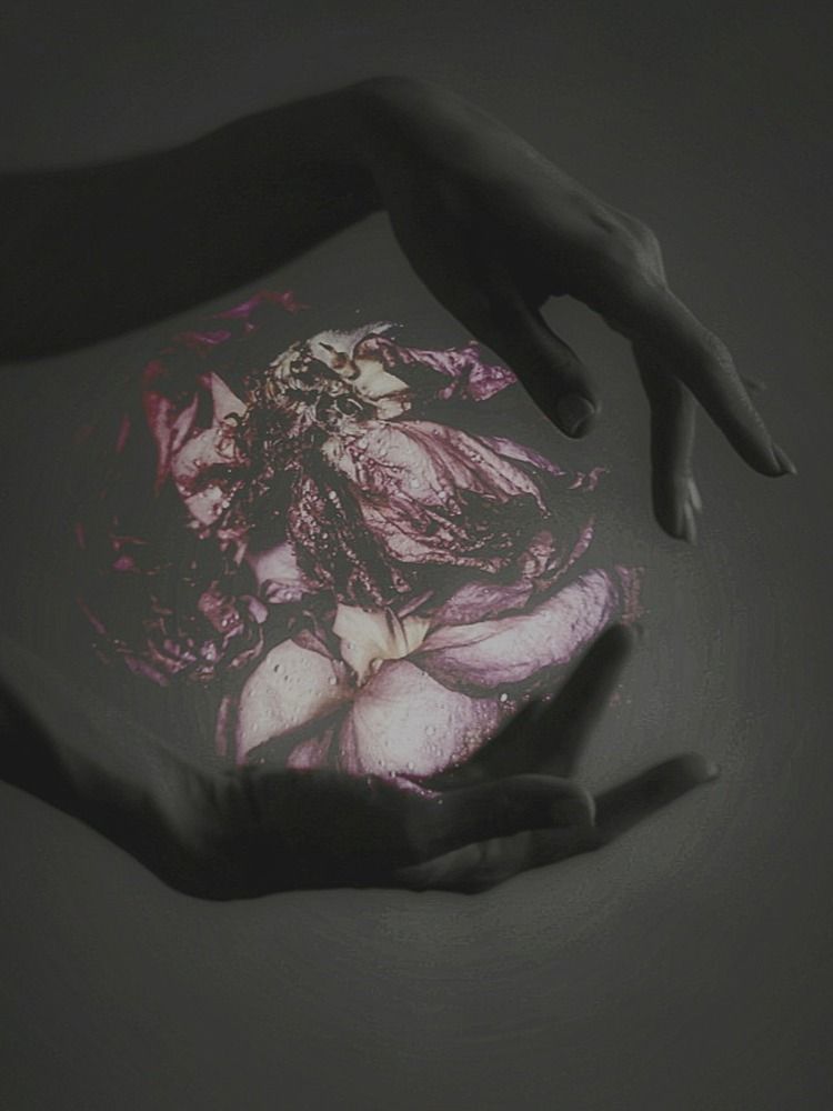 Photograph by Александра Кропивка