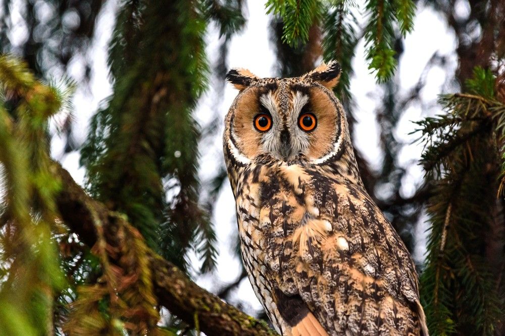 Photograph by levi bagy