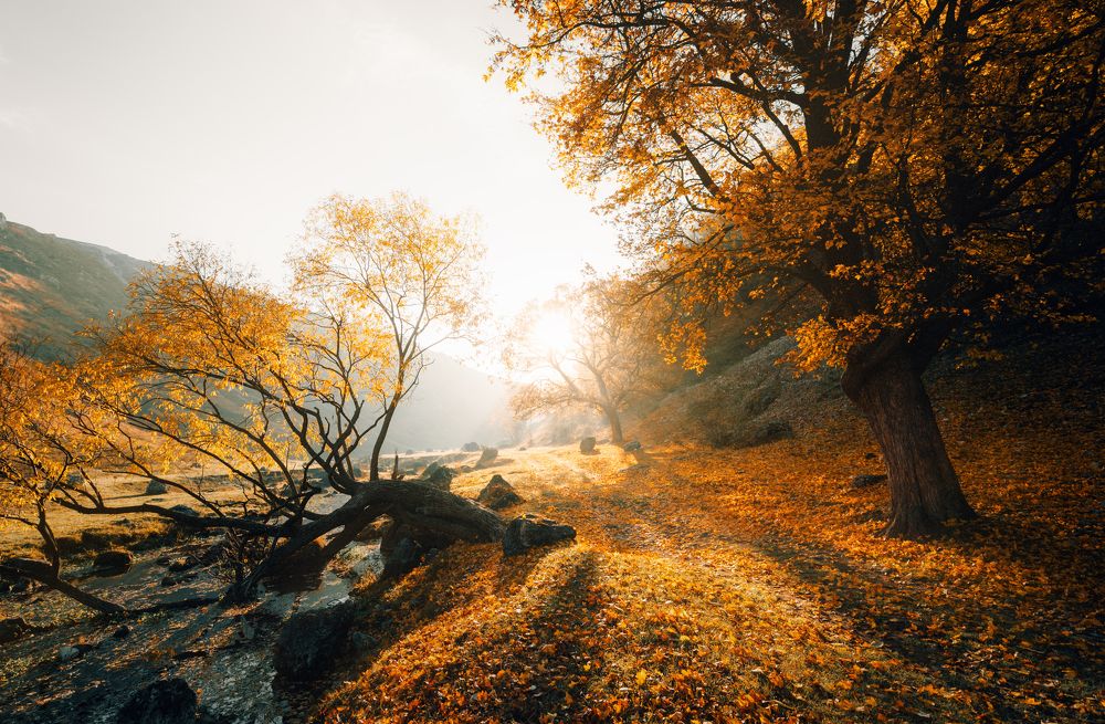 Photograph by Oleg Suhenko