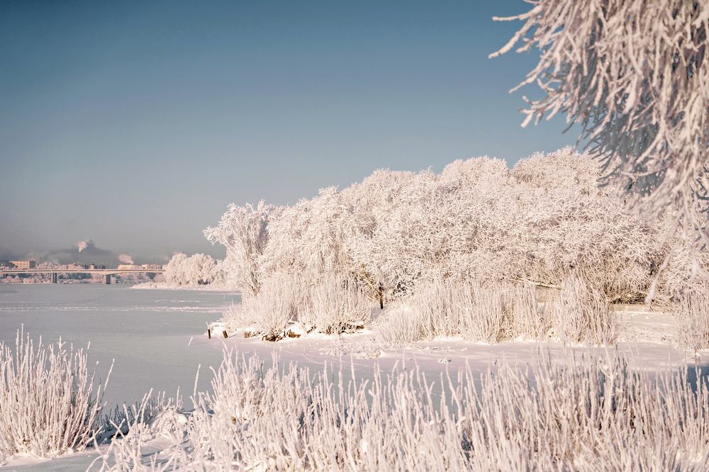 Фотография автора Светлана Разумовская