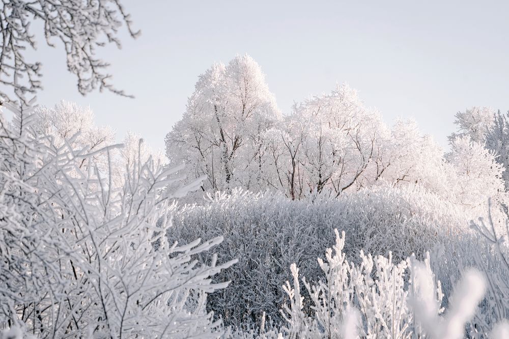 Фотография автора Светлана Разумовская