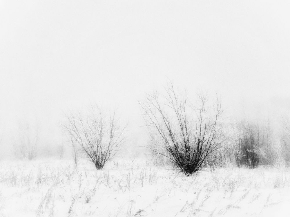 Photograph by Irina Luidinshina