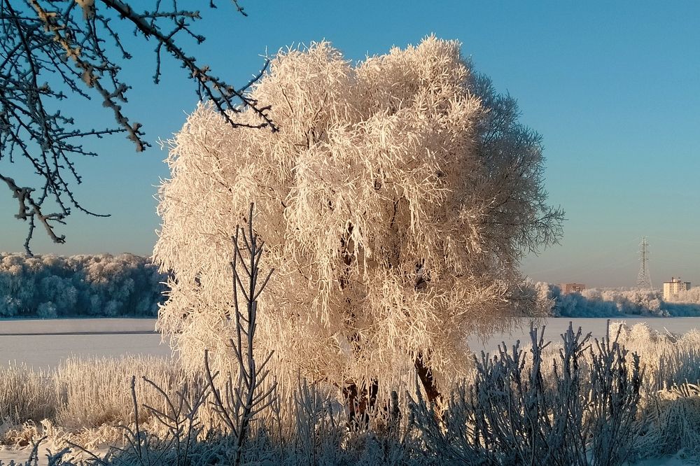Photograph by Егорова Анфиса Александровна