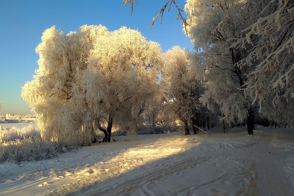 Photograph by Егорова Анфиса Александровна