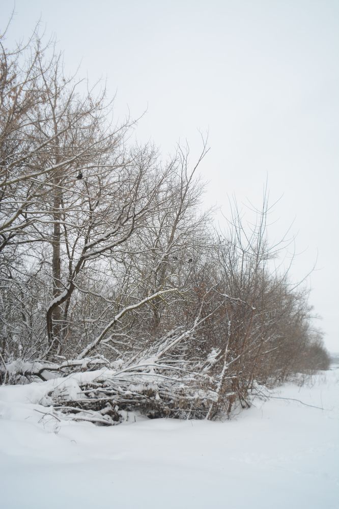 Photograph by Ольга Истомина