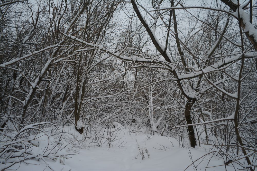 Photograph by Ольга Истомина