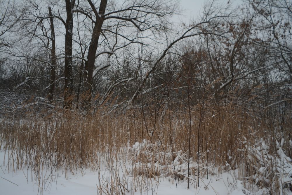 Photograph by Ольга Истомина