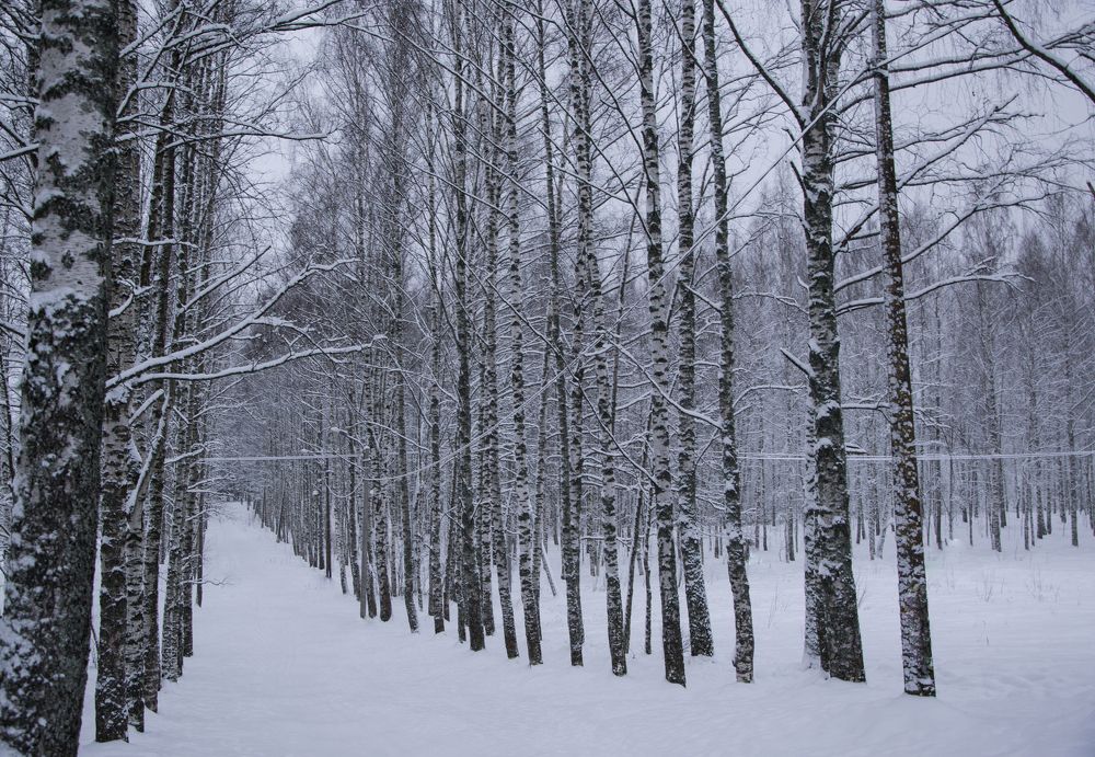 Фотография автора Альбина Хвастунова
