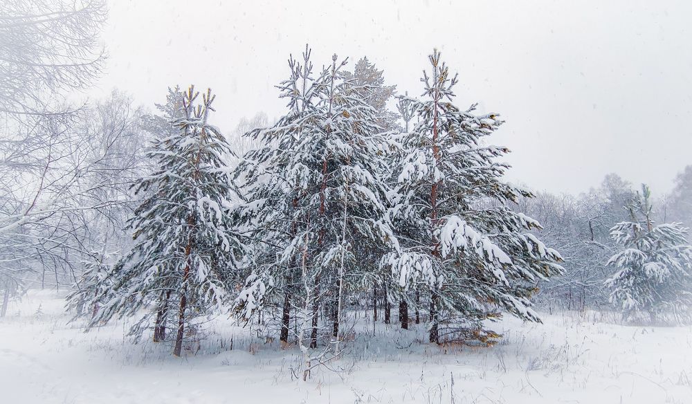 Photograph by Андрей Фадеев