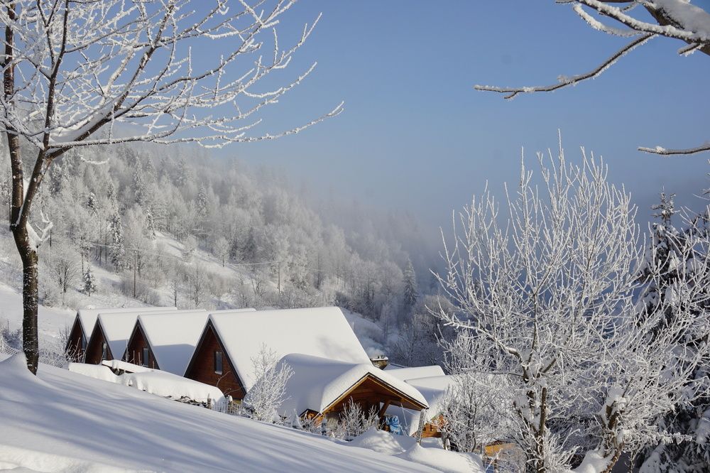 Photograph by Сидоренко Оксана