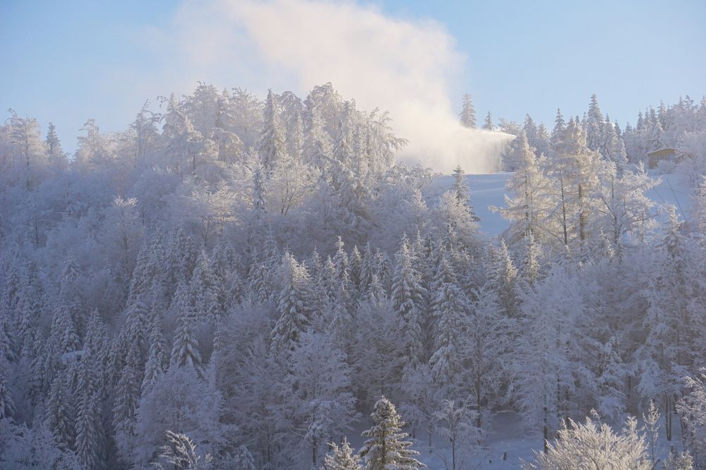 Photograph by Сидоренко Оксана