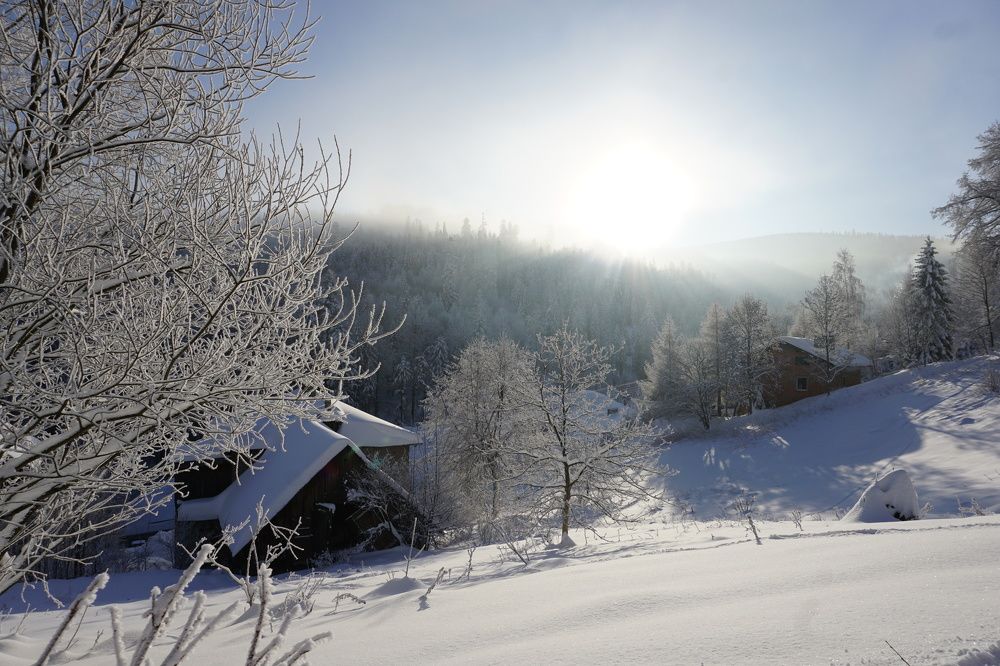 Photograph by Сидоренко Оксана