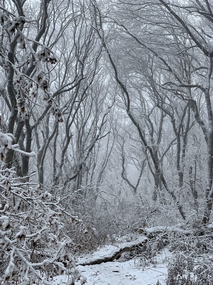 Photograph by Мария Алейникова