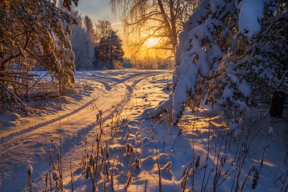 Photograph by Марина Мурашова