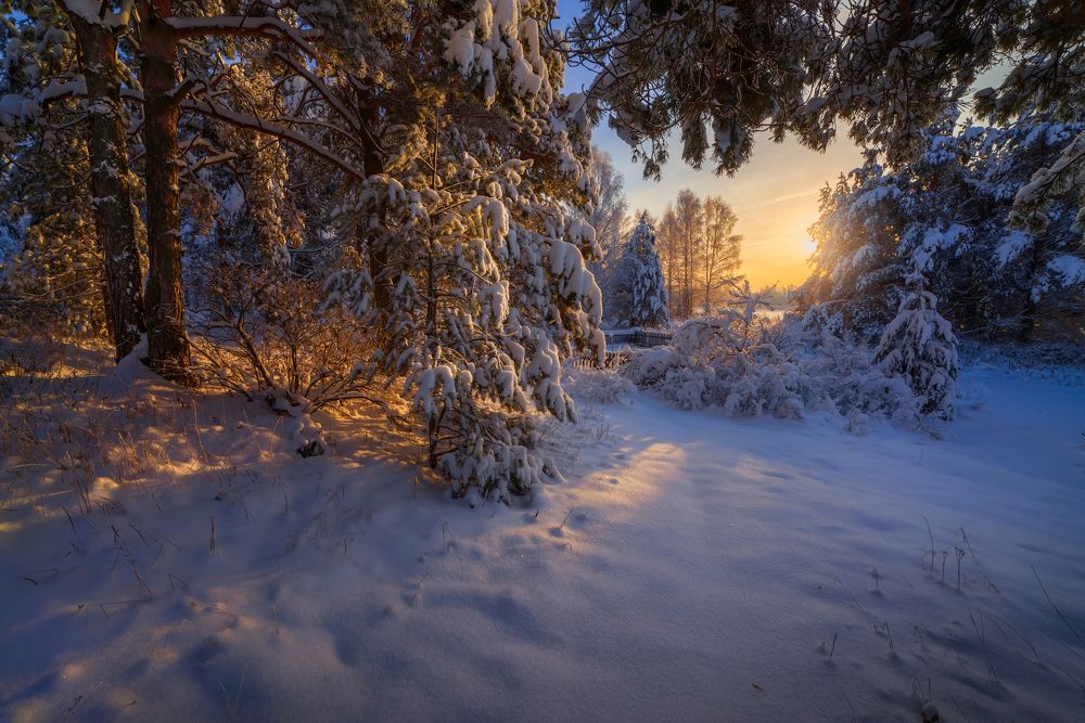 Photograph by Марина Мурашова