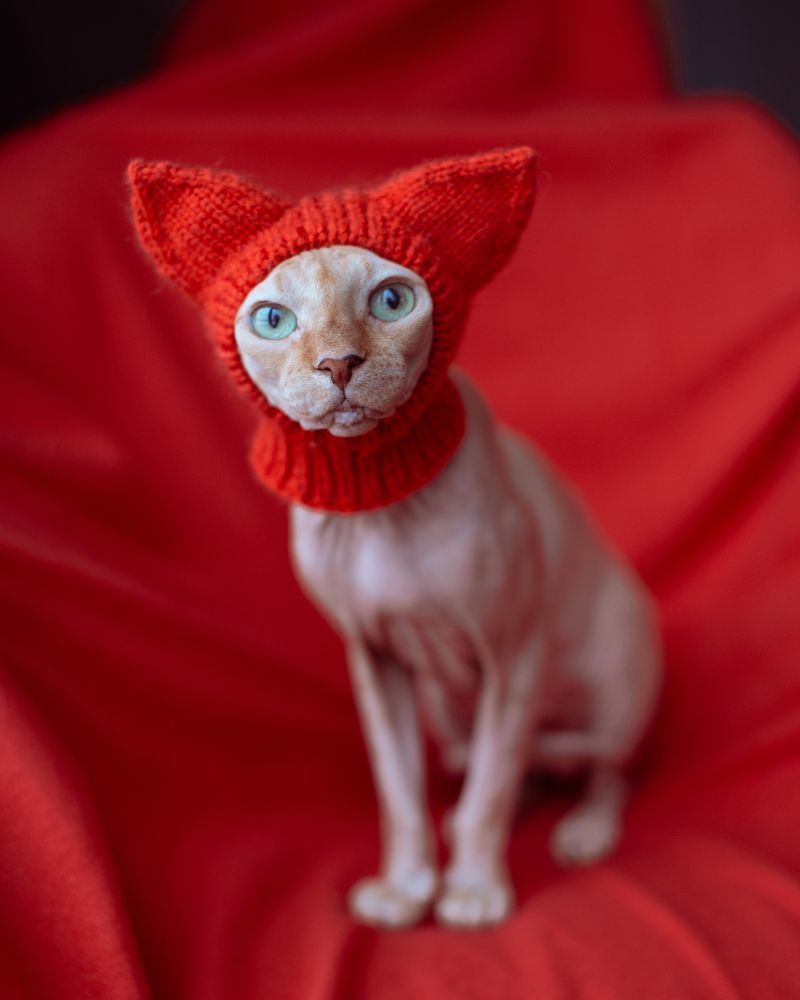 Photograph by Наталья Домненко