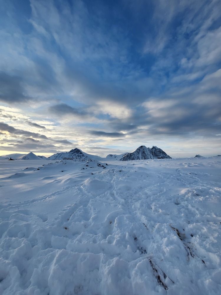 Península Antártica