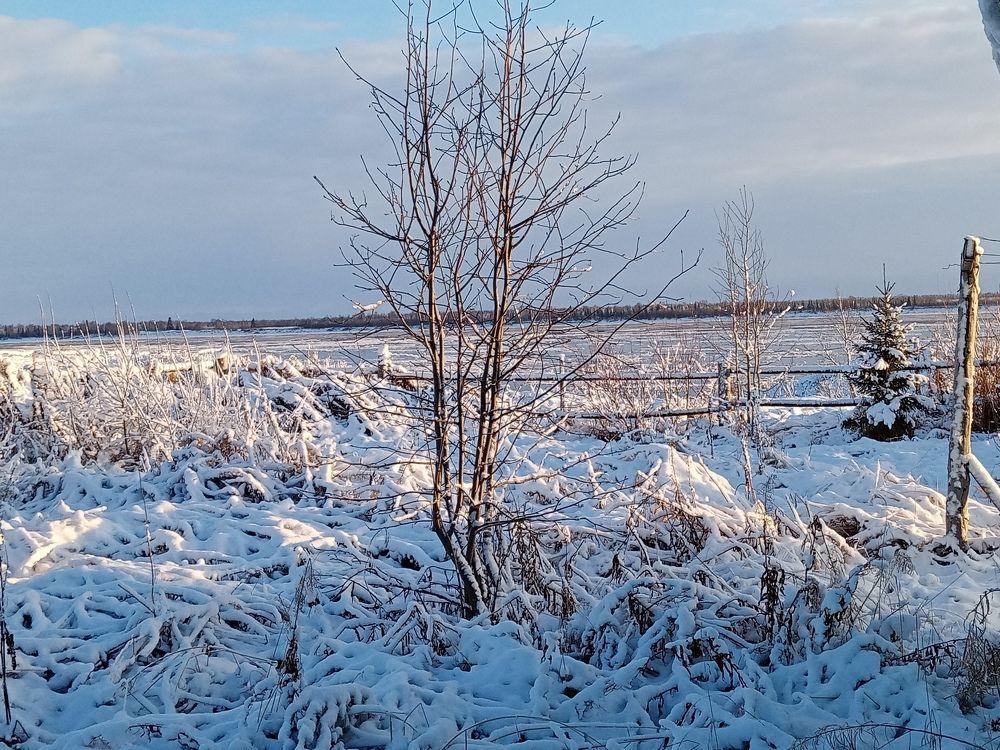 Photo #10008864