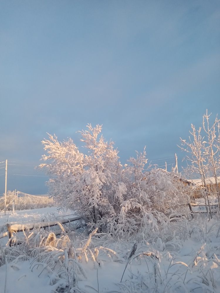 Photo #10008867