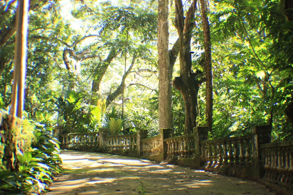 Photograph by Jamilya Tapaskhanova