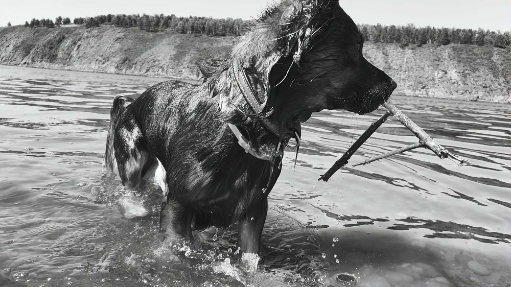 Photograph by Евгения