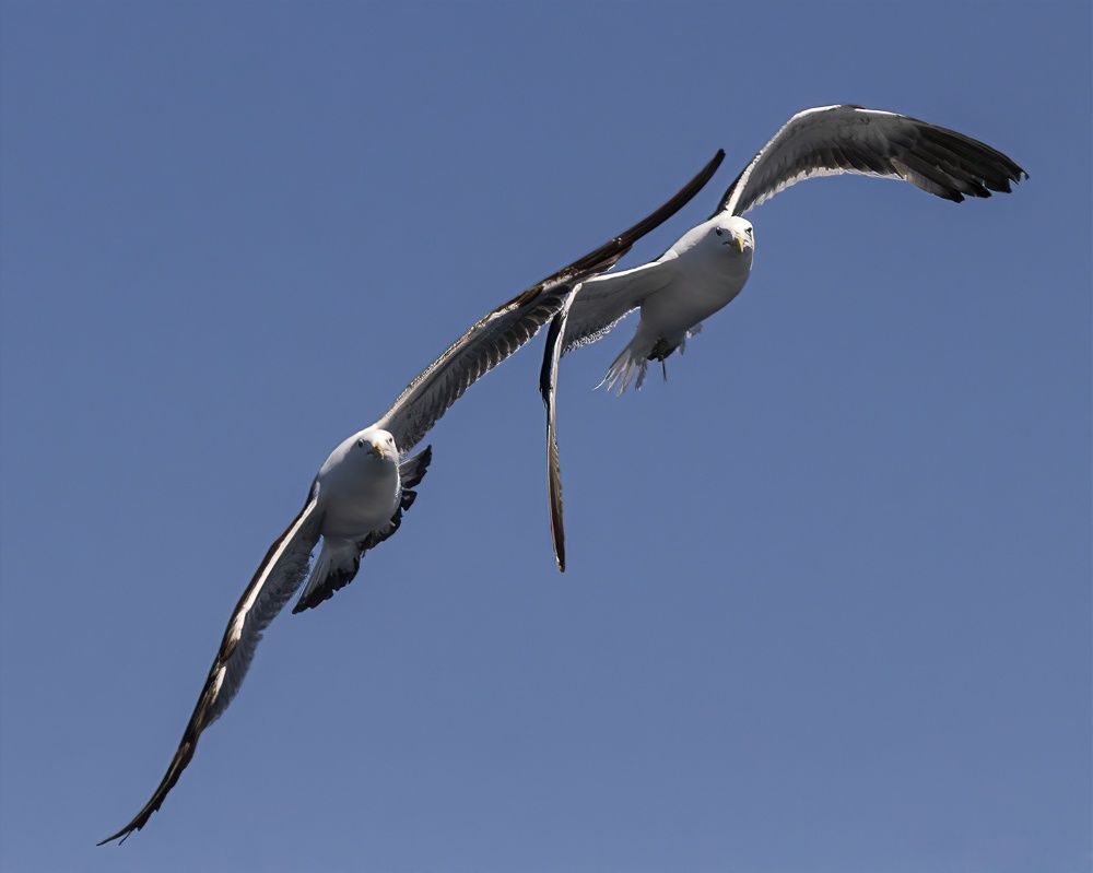 Photograph by Pablo Corengia