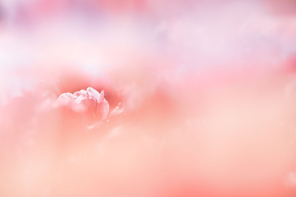 Фотография автора Fumi Taki